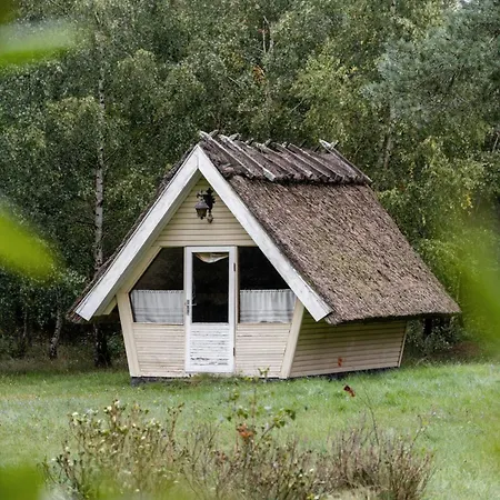 Historic, Charming House With A Fantastic Garden *