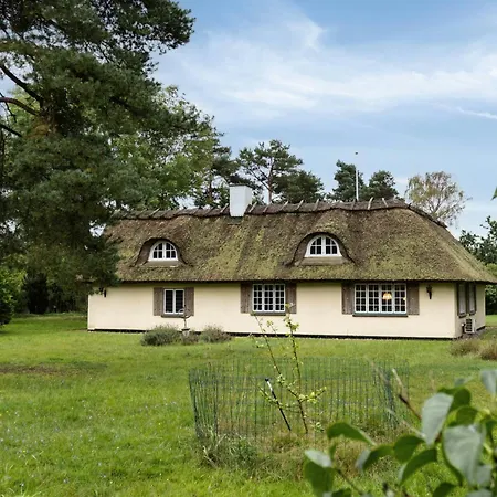 Casa de Férias Historic, Charming House With A Fantastic Garden *